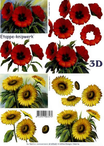 3D-Bogen LeSuh 4169643 Mohn und Sonnenblumen