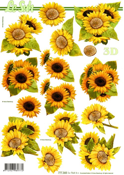 3D-Bogen LeSuh 777.365 Sonnenblumen