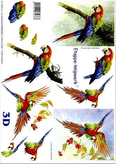 3D-Bogen LeSuh 4169136 Papagei
