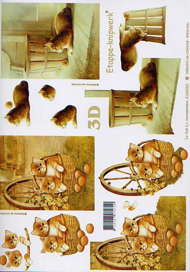 3D-Bogen LeSuh 4169253 Kätzchen