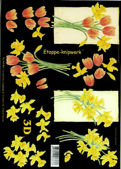 3D-Bogen LeSuh 4169435 Tulpen und Narzissen