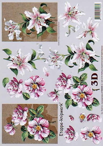 3D-Bogen LeSuh 4169495 Blumen