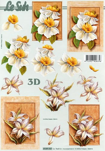 3D-Bogen LeSuh 4169727 Blumen