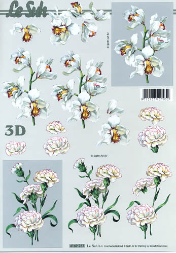 3D-Bogen LeSuh 4169757 Weiße Blumen