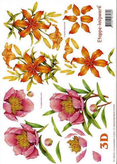 3D-Bogen LeSuh 416978 Rosen und Lilien