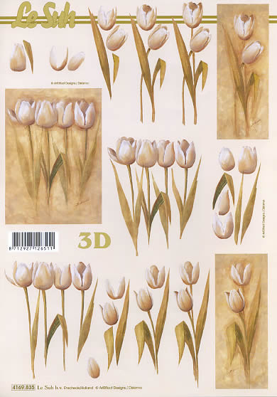 3D-Bogen LeSuh 4169835 Tulpen
