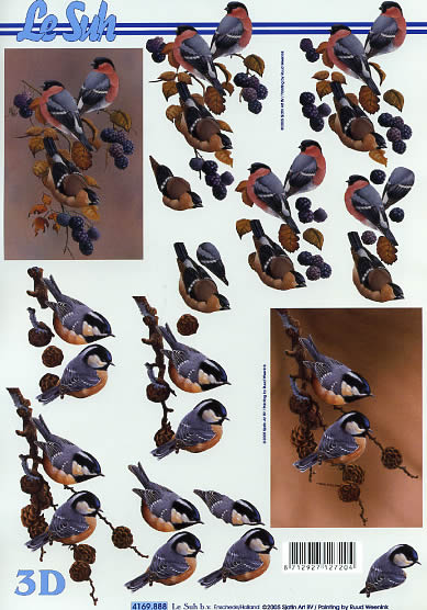 3D-Bogen LeSuh 4169888 Vögel