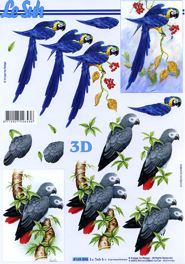 3D-Bogen LeSuh 4169896 Papagei