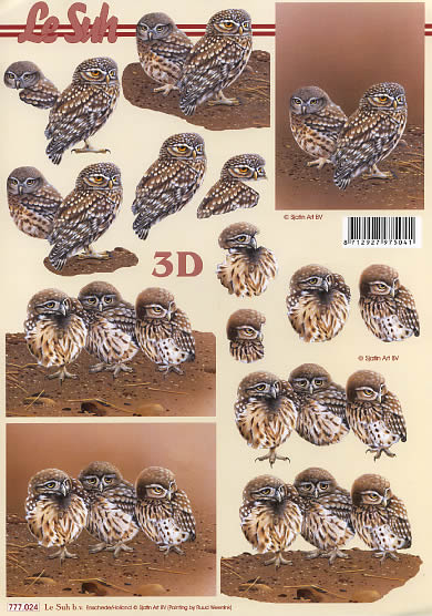 3D-Bogen LeSuh 777.024 Eulen