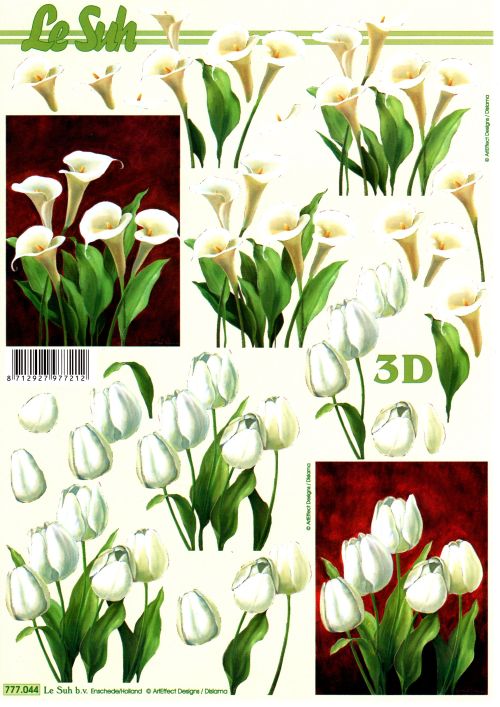 3D-Bogen LeSuh 777.044 Calla und Tulpen