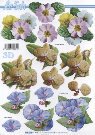 3D-Bogen LeSuh 777.250 Blüten