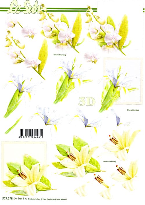 3D-Bogen LeSuh 777.278 Blüten