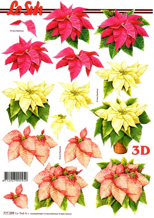 3D-Bogen LeSuh 777.299 Weihnachtsstern