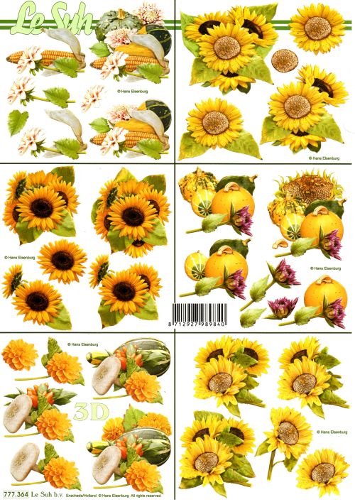 3D-Bogen LeSuh 777.364 Sonnenblumen und Kürbis