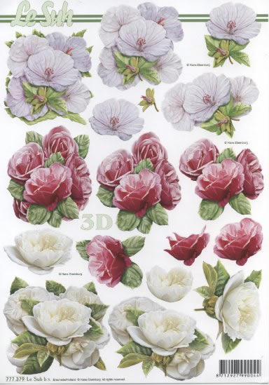 3D-Bogen LeSuh 777.379 Blüten