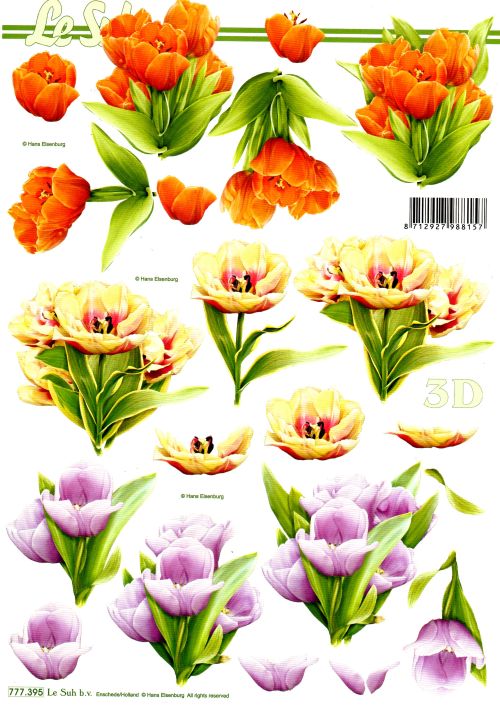 3D-Bogen LeSuh 777.395 Tulpen