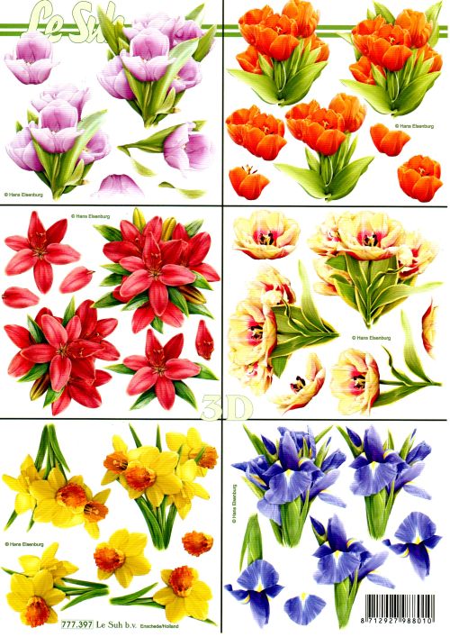 3D-Bogen LeSuh 777.397 Frühlingsblumen klein