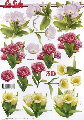 3D-Bogen LeSuh 777.399 Tulpen