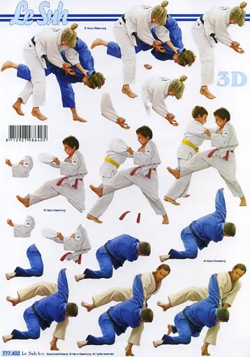 3D-Bogen LeSuh 777.402 Judo
