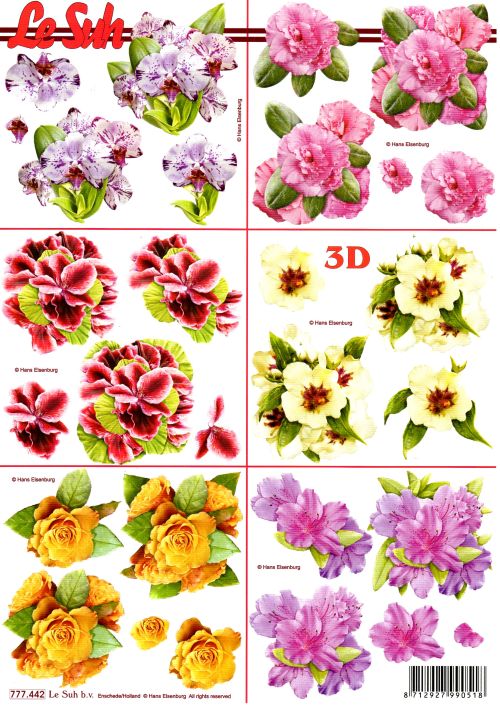 3D-Bogen LeSuh 777.442 Blüten