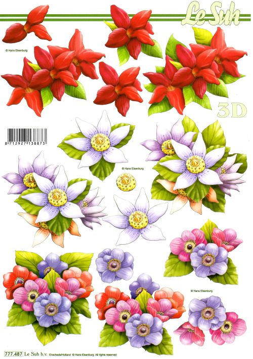 3D-Bogen LeSuh 777.487 Blüten