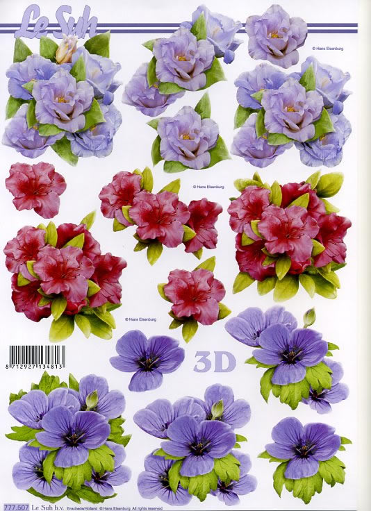 3D-Bogen LeSuh 777.507 Blütenköpfe