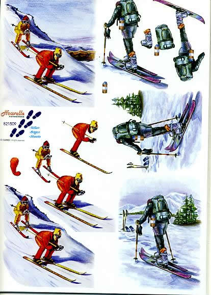 3D-Bogen LeSuh 821509 Skifahrer
