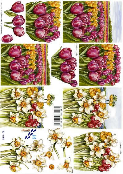 3D-Bogen LeSuh 8215186 Tulpen und Narzissen