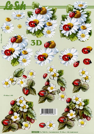 3D-Bogen LeSuh 8215238 Blumen und Käfer