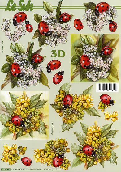3D-Bogen LeSuh 8215244 Käfer und Blumen