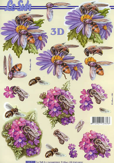 3D-Bogen LeSuh 8215248 Bienen und Wespen
