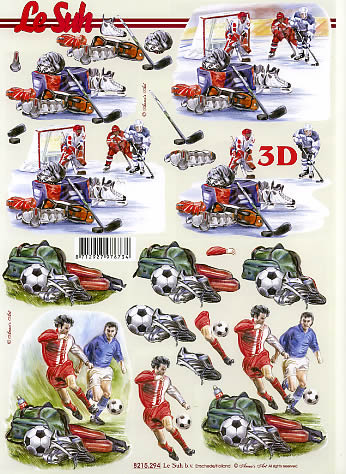 3D-Bogen LeSuh 8215294 Eishockey und Fußball