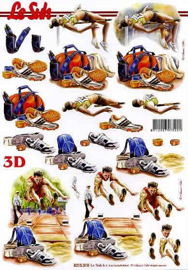 3D-Bogen LeSuh 8215310 Hoch- und Weitsprung