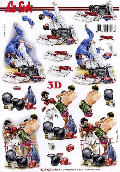 3D-Bogen LeSuh 8215322 Judo und Boxen