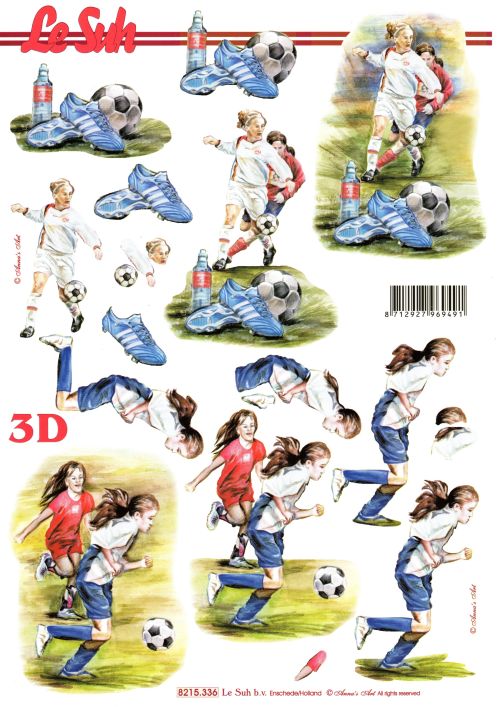 3D-Bogen LeSuh 8215336 Damenfußball