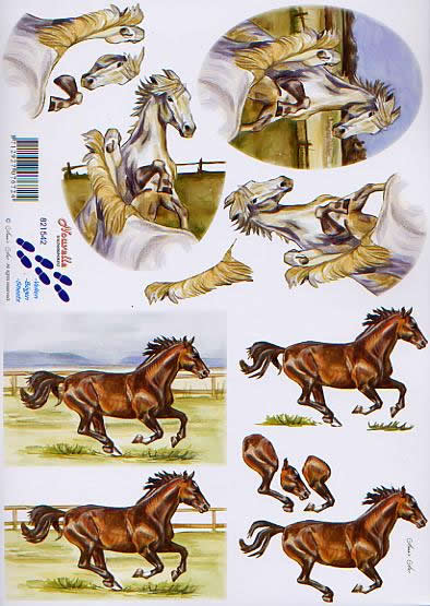 3D-Bogen LeSuh 821542 Pferde