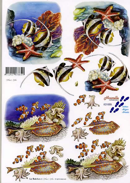 3D-Bogen LeSuh 821555 Korallenfische