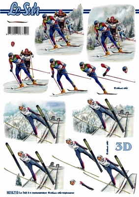 3D-Bogen LeSuh 8215710 Skilauf und Skisprung