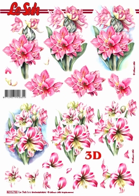 3D-Bogen LeSuh 8215733 Amaryllis