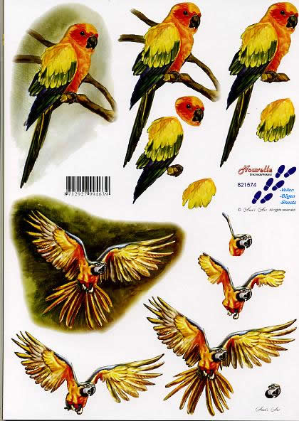 3D-Bogen LeSuh 821574 Papageien