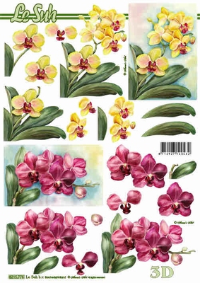 3D-Bogen LeSuh 8215776 Orchidee