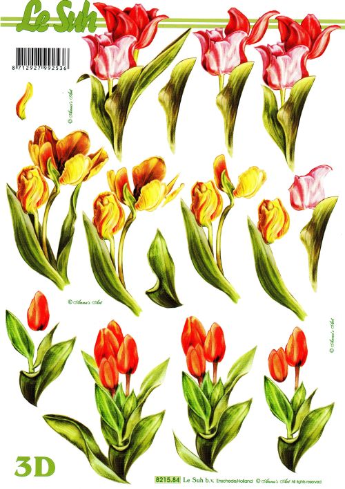 3D-Bogen LeSuh 821584 Tulpen