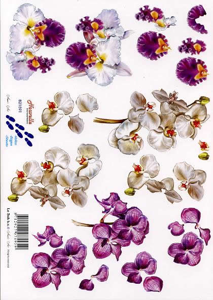 3D-Bogen LeSuh 821591 Orchideen