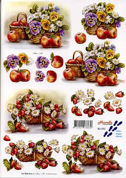 3D-Bogen LeSuh 821592 Blumen und Apfel